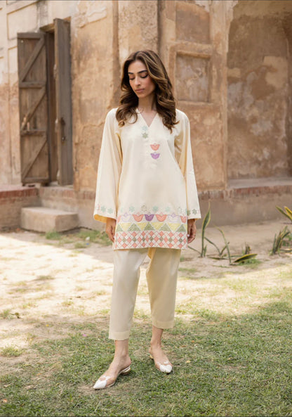 Noureen - 2Pc Suit - Premium Fabric