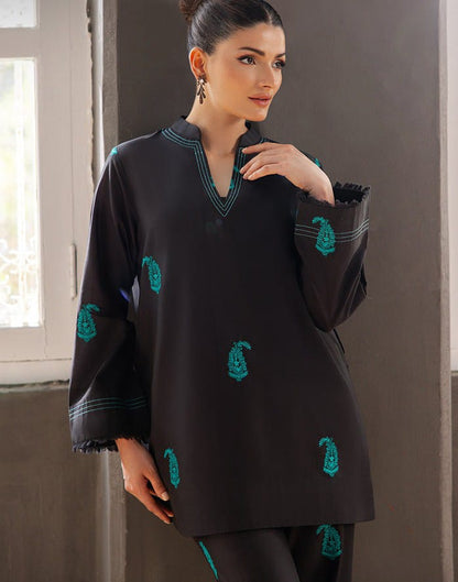 Maya Embroided - 2Pc Premium Fabric